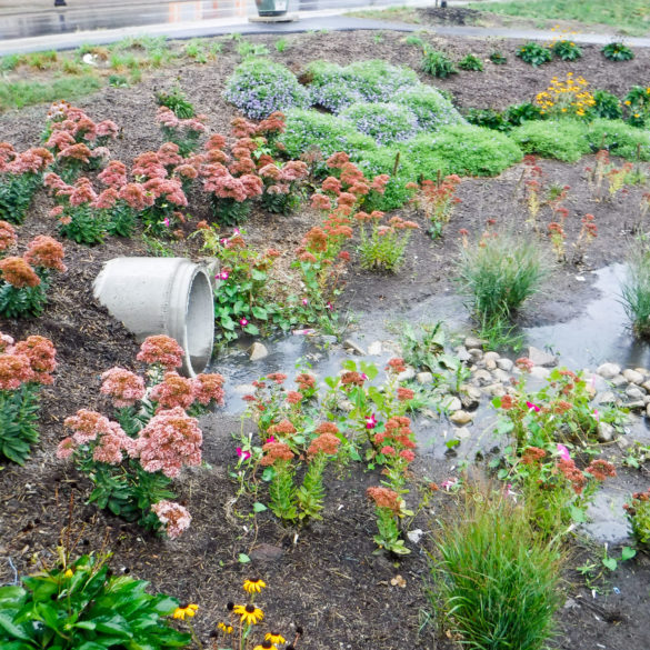Green Infrastructure and Stormwater