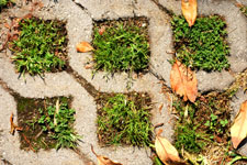 greeninfra2
