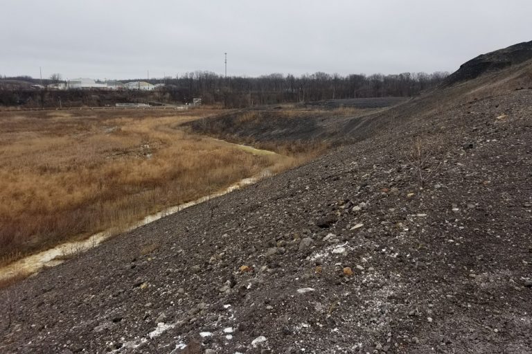 City of Lorain Lower Black River Reclamation Site Restoration ...