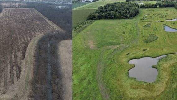 Wetland Restoration Nearing Completion at Oakwoods Nature Preserve
