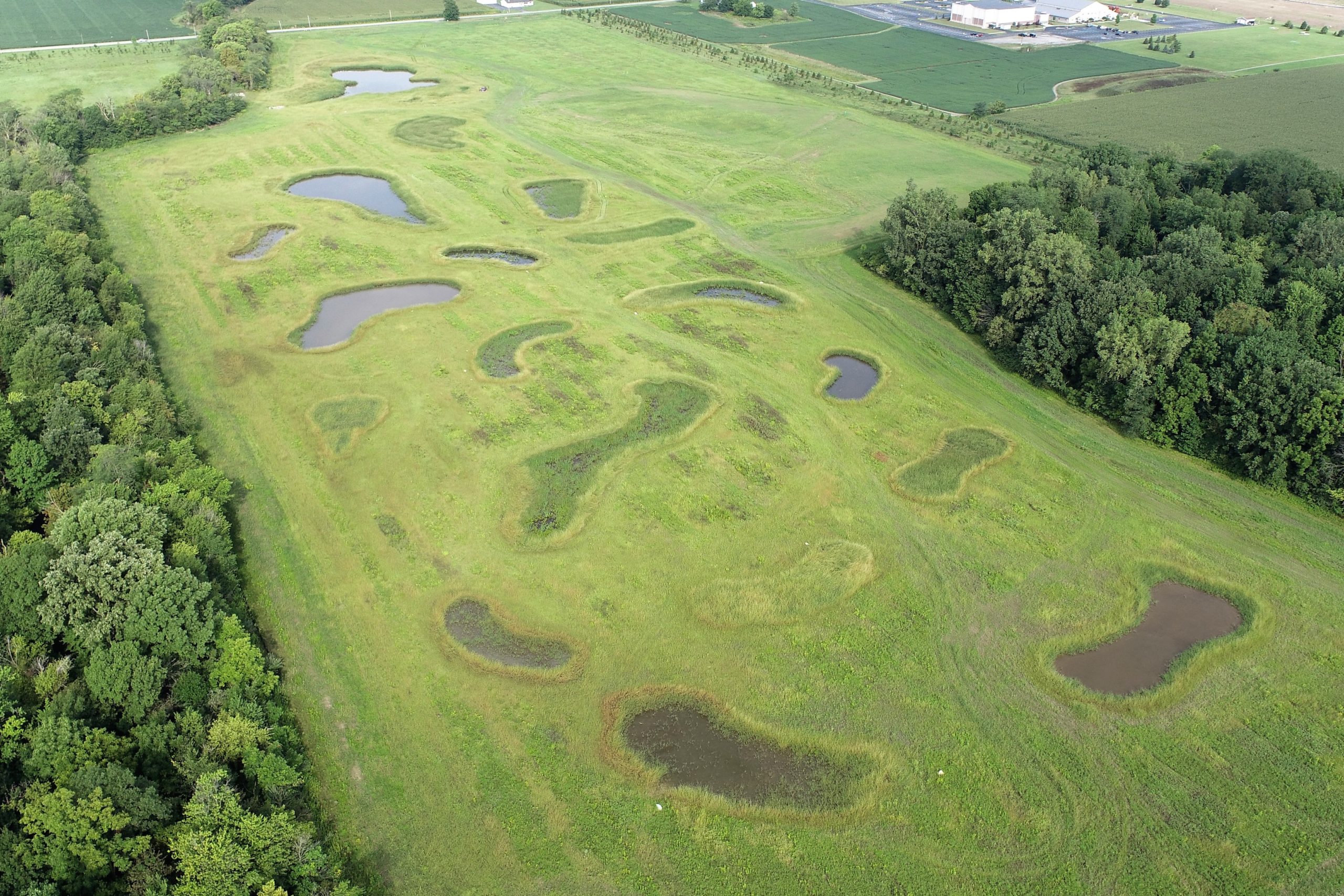 Oakwoods Nature Preserve Wetland Restoration Project