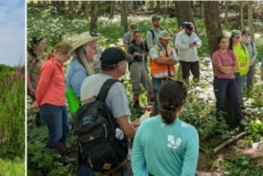 2025 Training Highlights